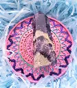 20221110_162706.webp