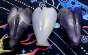 20250112_211855.webp