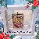 Photoroom-20250218_172303.webp