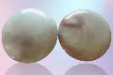 oeil de shiva rond dos .webp