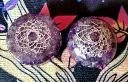 20250529_113519.webp