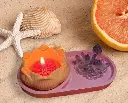 collection lotus 2.webp