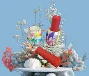 Photoroom-20241002_111618.webp