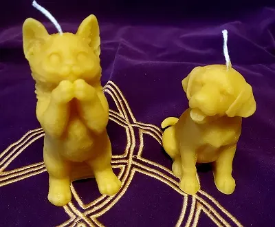 Bougie protection animaux