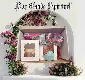 Box guide spirituel