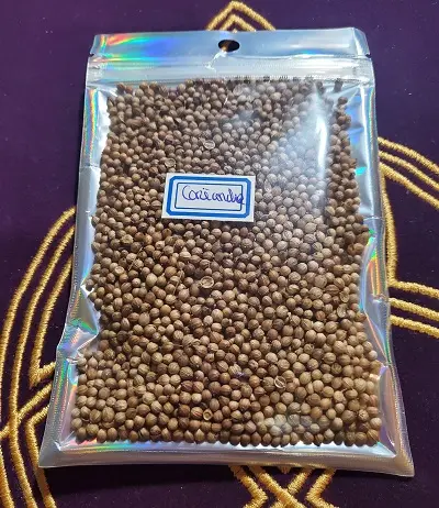 Encens Coriandre