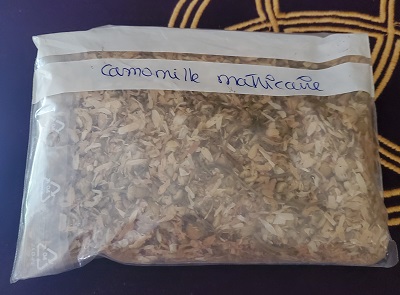 Encens camomille matricaire